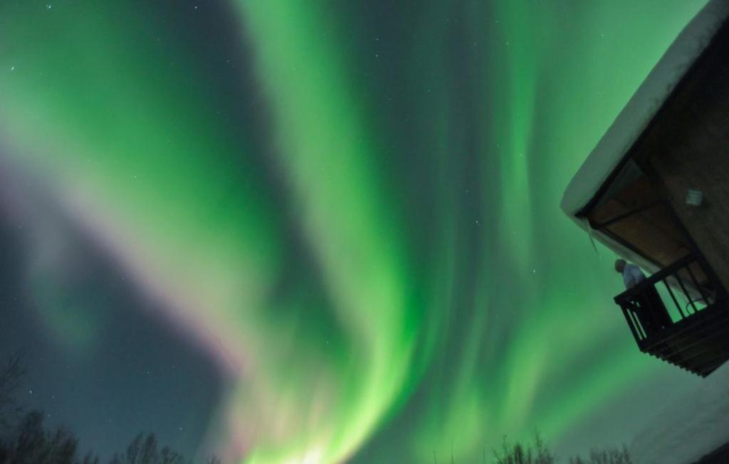 Alaska Grizzly Lodge Фэрбанкс Экстерьер фото