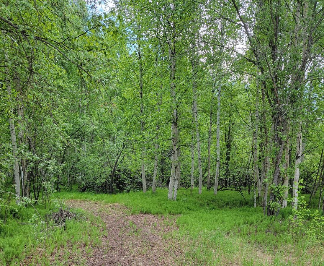 Alaska Grizzly Lodge Фэрбанкс Экстерьер фото