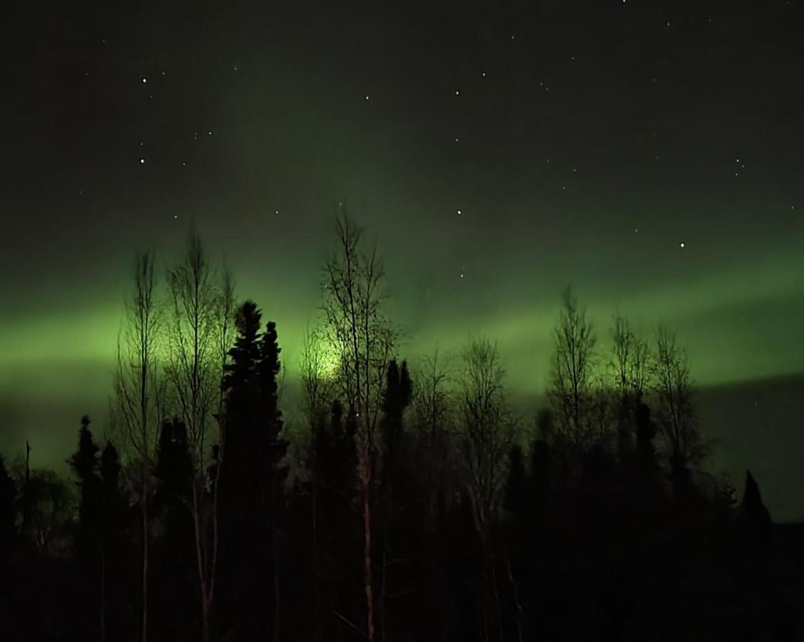 Alaska Grizzly Lodge Фэрбанкс Экстерьер фото