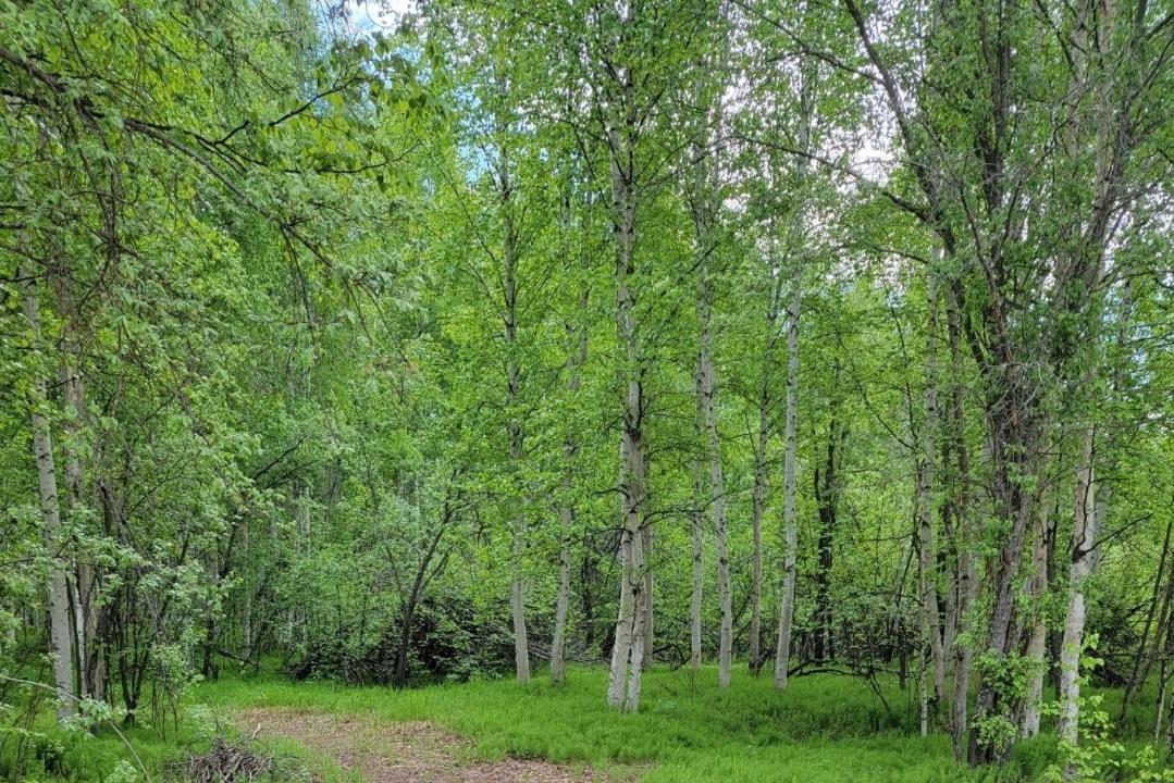 Alaska Grizzly Lodge Фэрбанкс Экстерьер фото